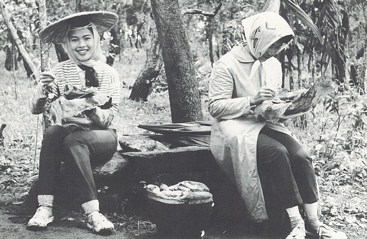 490643481_1218213713644073_7696945912346810842_n