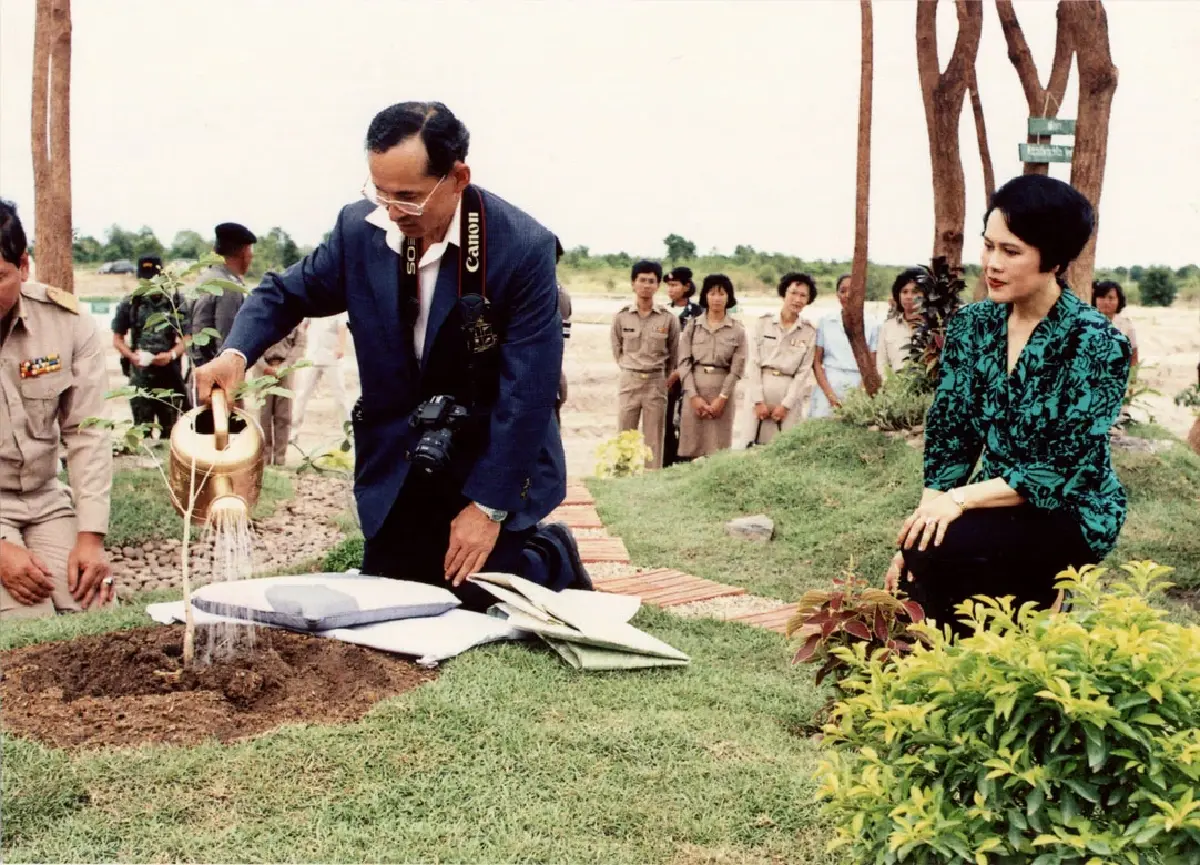 bbSwcYstMT8wj4fwGdw3